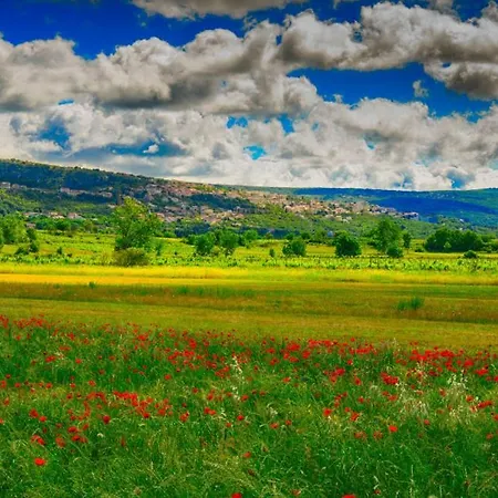 Vega - Makarska By Guide Villa Nova Sela (Kula Norinska)